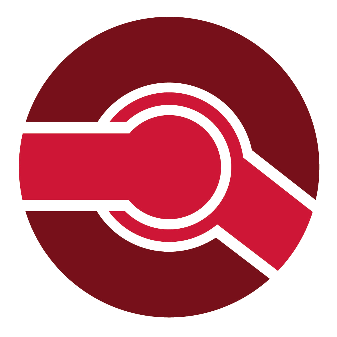 Logobild transparent Orthopädie Hessen